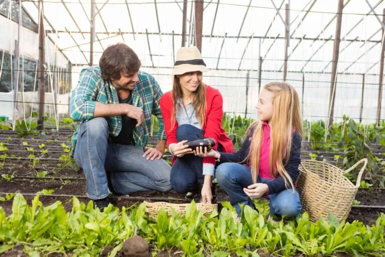 Team demonstrating harvested produce to a young visitor inside a greenhouse